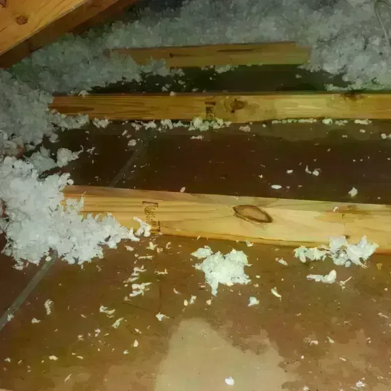 Attic Water Damage in Morristown, VT